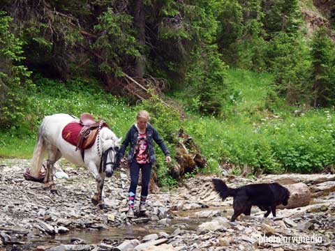 dans les petits sentiers du plateau des Glières