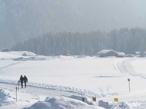 randonnées raquettes ou ski de fond