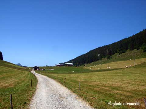 arvimedia communication publicité des Aravis