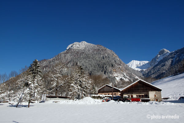le chat sur une murette proche de l'église